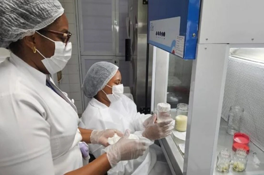 Doação de leite materno pode alimentar até dez bebês por dia