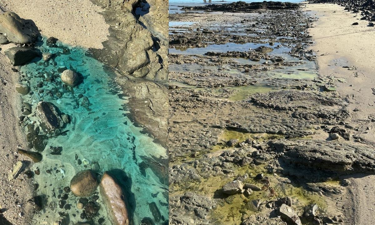 Governo reconhece emergência após contaminação química em praia do Subúrbio