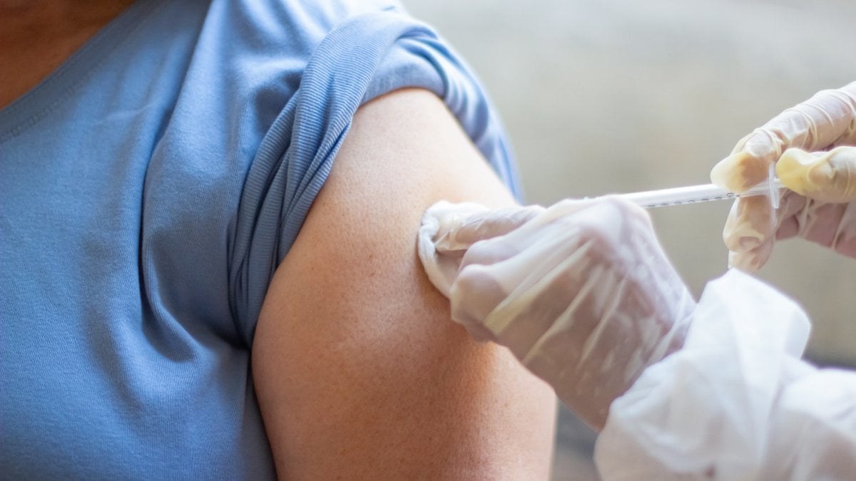 Nova vacina contra chikungunya entra na fila de análise da Anvisa