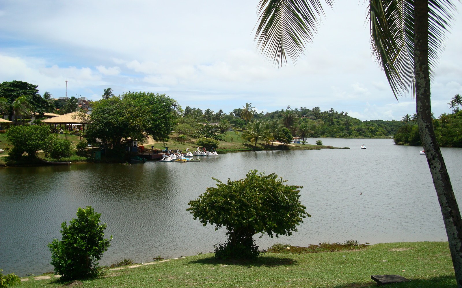 Entrega do Parque de Pituaçu reabre debate sobre áreas verdes em Salvador