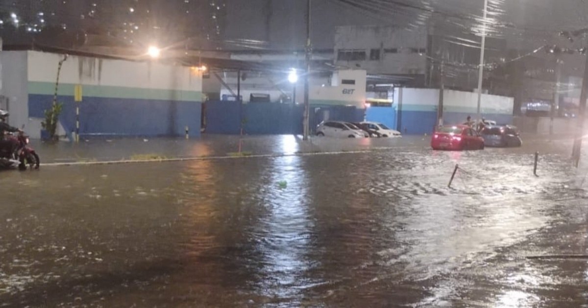 Chuva derruba árvore na Graça e bloqueia rua em Salvador